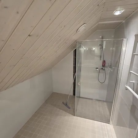 Villa Revontulet Zohar Hazfoni Luxury Kyyvesi Mikkeli
