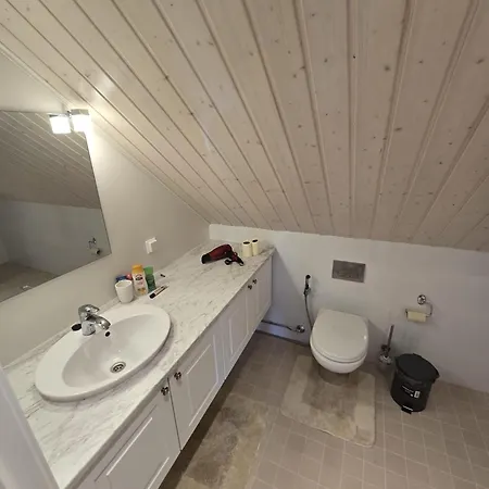Villa Revontulet Zohar Hazfoni Luxury Kyyvesi